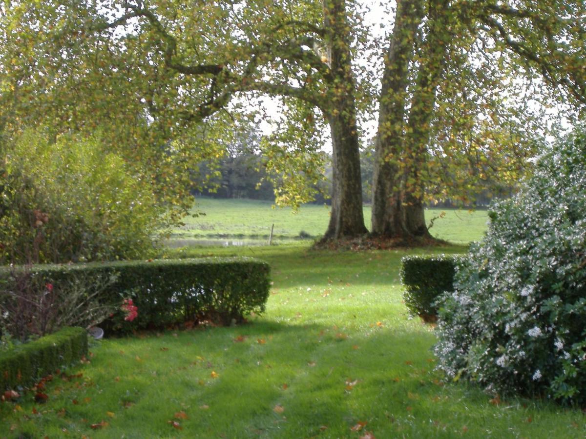 Chateau Du Fraisse Nouic Dış mekan fotoğraf